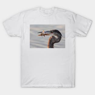 A fresh catch - Great Blue Heron T-Shirt